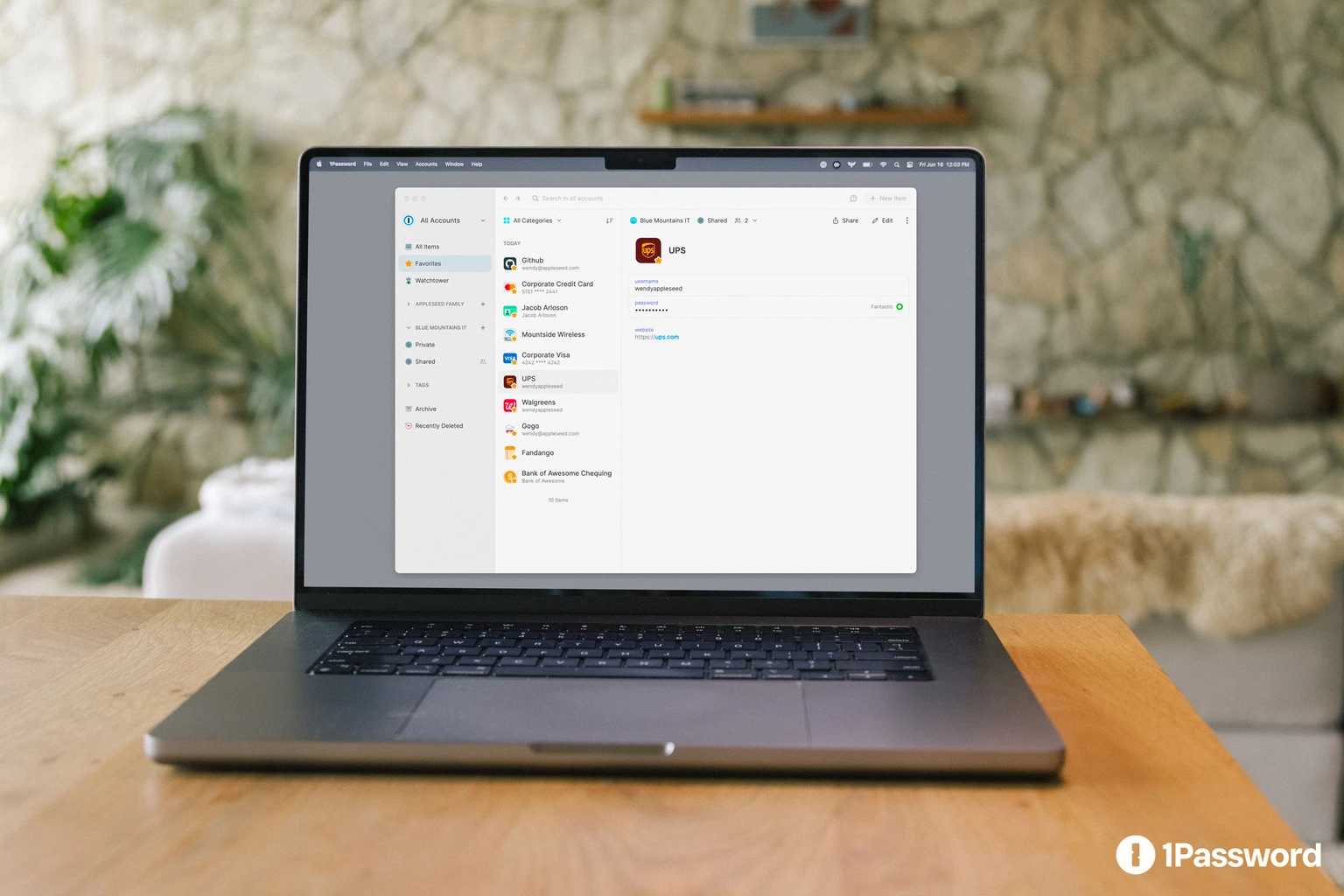 Official 1Password media photograph of its vault interface, not the Agents approval interface. Client version unspecified. © 1Password; official press media kit.